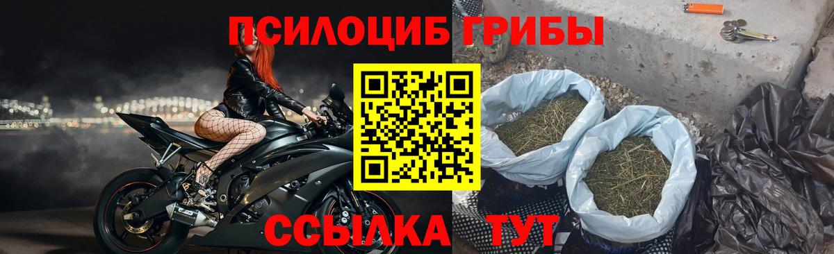 Псилоцибиновые грибы мухоморы  Вход с VPN  Губаха  купить закладку  Галлюциногенные грибы MAGIC MUSHROOMS 